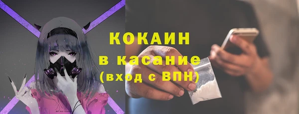 гашик Тихвин