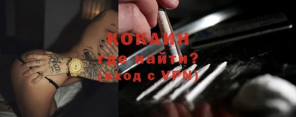 гашик Тихвин