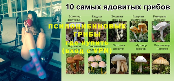 а пвп мука Тобольск