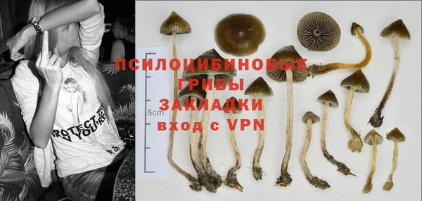 а пвп мука Тобольск