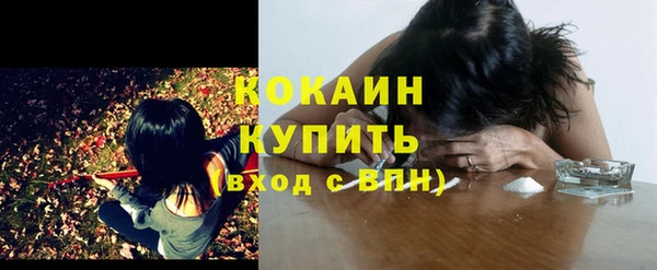 гашик Тихвин